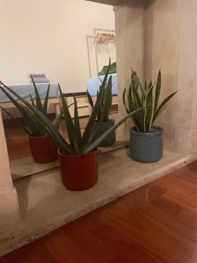 הוילה ורונה Loft Ponte Pietra מראה חיצוני תמונה